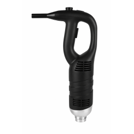 Mixeur Plongeant 450w...